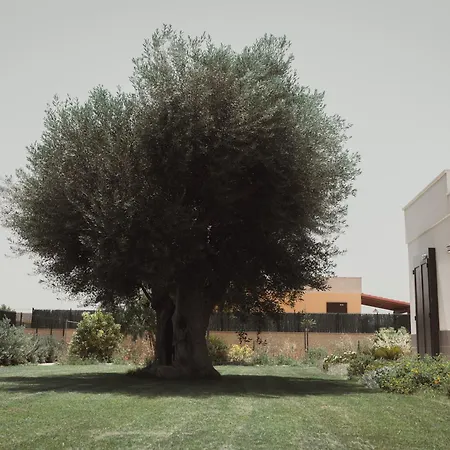 Feriehus Masseria Gravame - Taranto